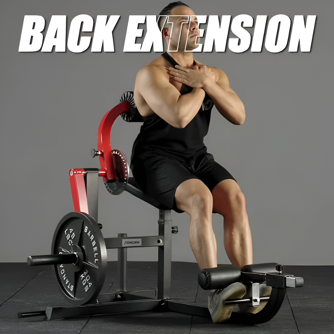 Seated AB Curl & Back Extension Machine – Plate Loaded | 450 lb Capacity