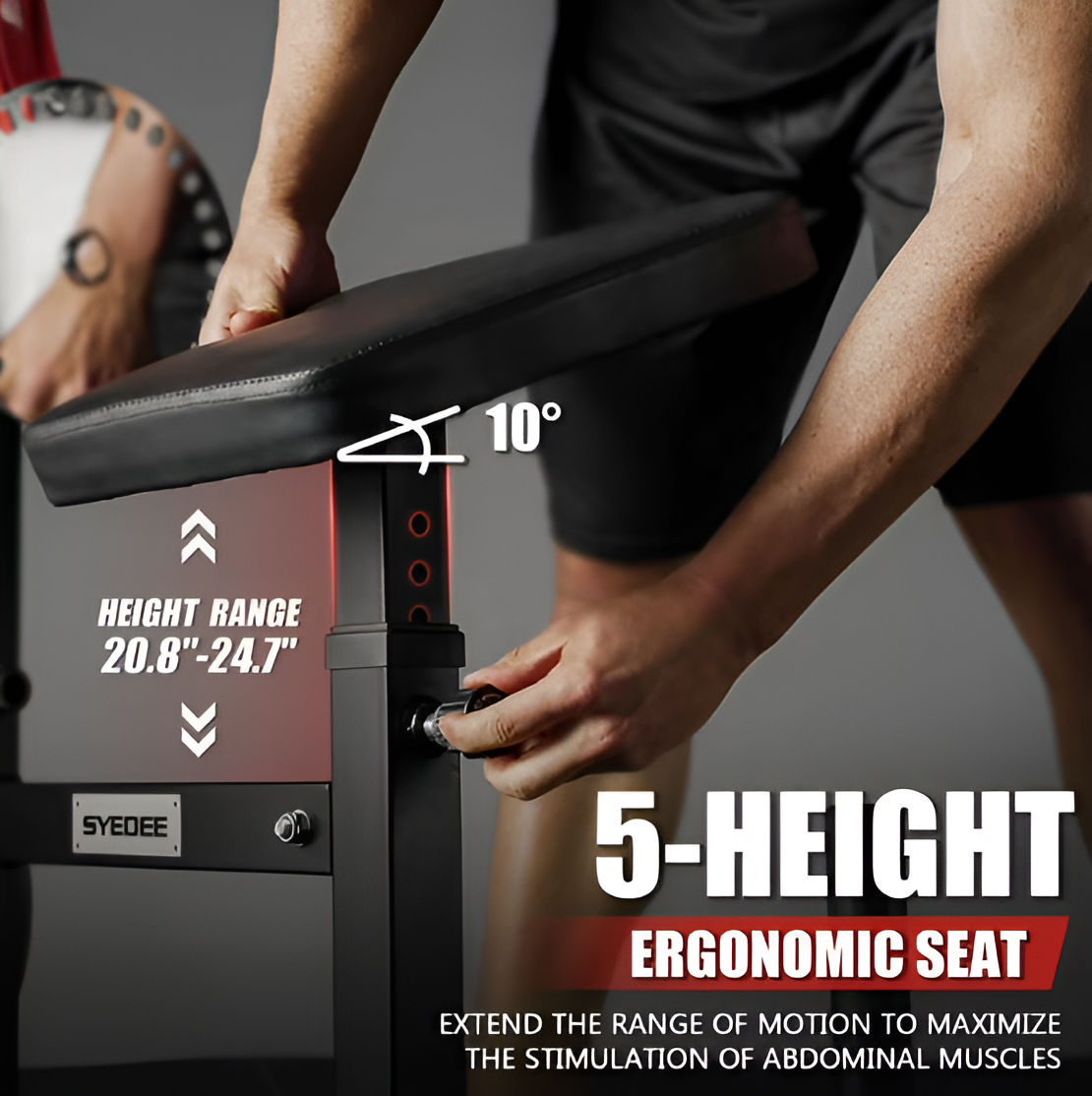 Seated AB Curl & Back Extension Machine – Plate Loaded | 450 lb Capacity