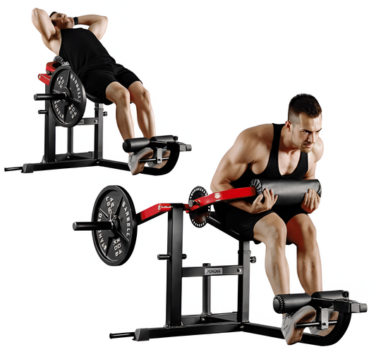 Seated AB Curl & Back Extension Machine – Plate Loaded | 450 lb Capacity