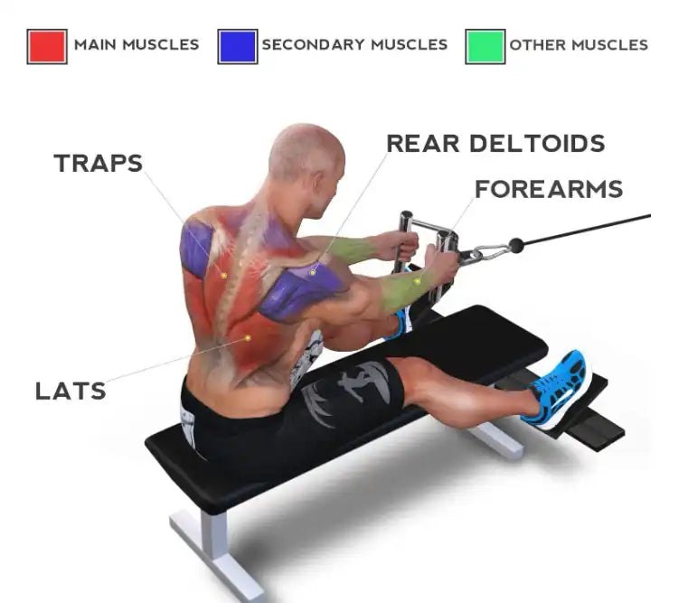 Double D Handle Cable Machine Attachments for Pulldown Exercises - Home Gym Accessories