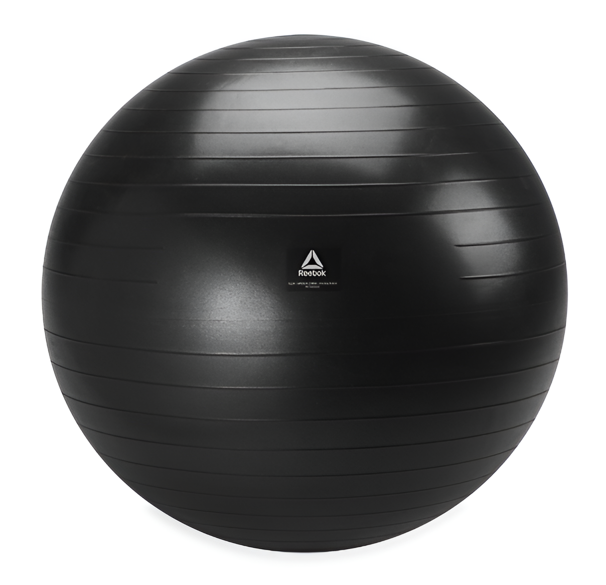 Weighted Exercise Ball with Pump Included
