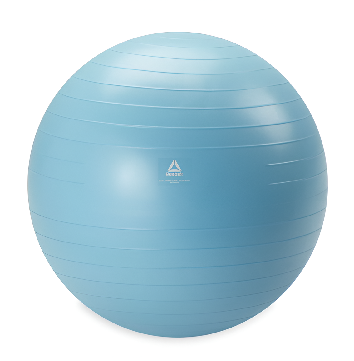 Weighted Exercise Ball with Pump Included