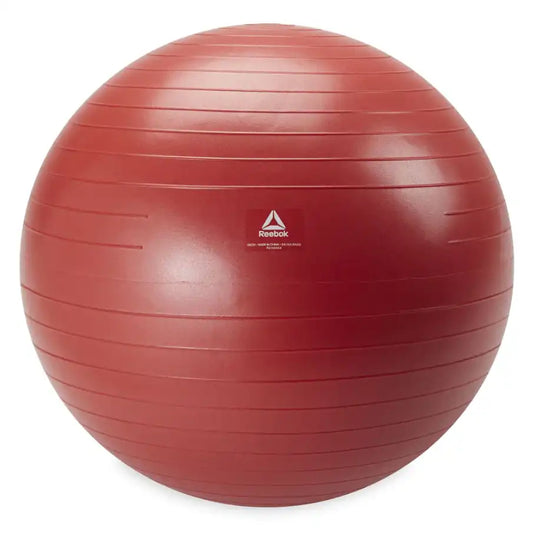 Weighted Stability Ball with Pump & Exercise Guide